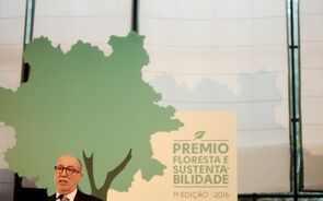  prémio floresta e sustentabilidade 2016 Carlos Amaral Vieira director geral Celpa 