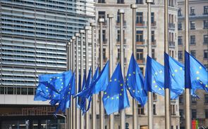 bruxelas ataques bandeira 
