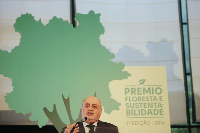 Terras abandonadas podem ser arrendadas à força