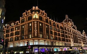 Colunex deita-se no quarto luxuoso do Harrods