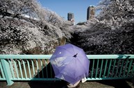 26º - Japão. Posição em 2015 (27ª)