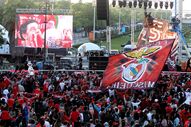 benfica campeão marques