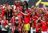 benfica campeão