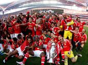 benfica campeão