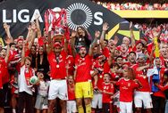 benfica campeão