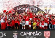 benfica campeão