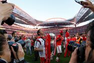 benfica campeão