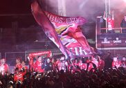 benfica campeão