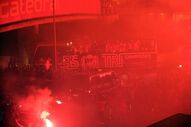 benfica campeão