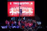 benfica campeão