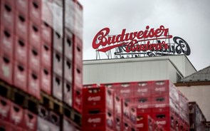 Budweiser em Portugal? Checos dizem que só eles podem vendê-la