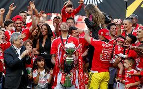 benfica campeão
