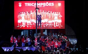 benfica campeão
