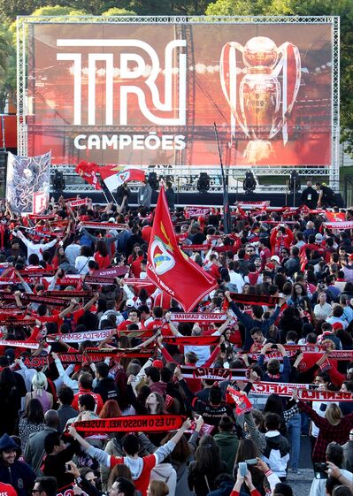 benfica campeão marques