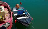 Fotogaleria: Setúbal onde a indústria, o turismo e a natureza convivem
