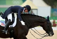 Olimpicos 