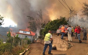 Governo vai enviar para a Madeira força especial de combate a incêndios