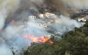 Governo envia mais duas equipas para combater fogos na Madeira