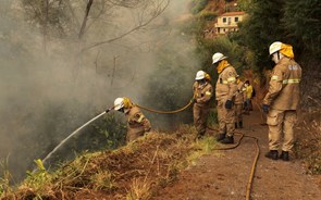 Candidaturas para apoios à destruição de pastagens pelos incêndios de 1 a 9 de Setembro