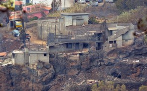 Bruxelas dá quatro milhões à Madeira para ajudar a cobrir custos com incêndios de Agosto