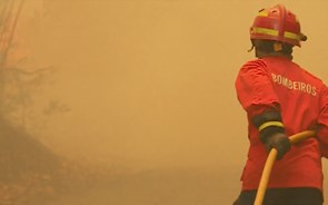 Parque de Campismo Zmar em Odemira evacuado devido a fogo