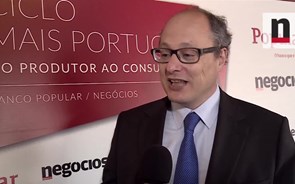 Celpa: 'Há percepção não fundamentada que eucalipto é espécie má'