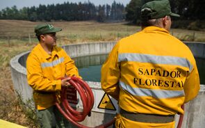 Sapadores Florestais Incendios