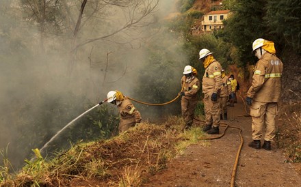 Bombeiros abrem caminhos para travar propagação do fogo no Funchal