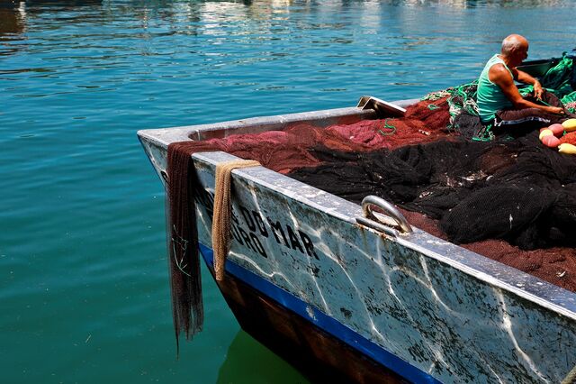 Exportações de pescado passam o “cabo” da pandemia