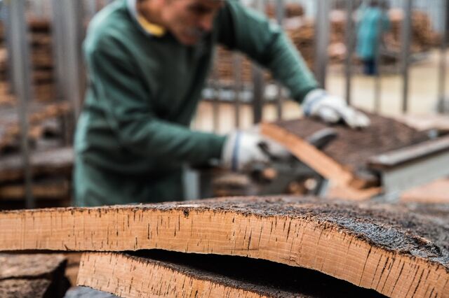 Corticeira Amorim investe 10 milhões de euros para aumentar produção de pavimentos