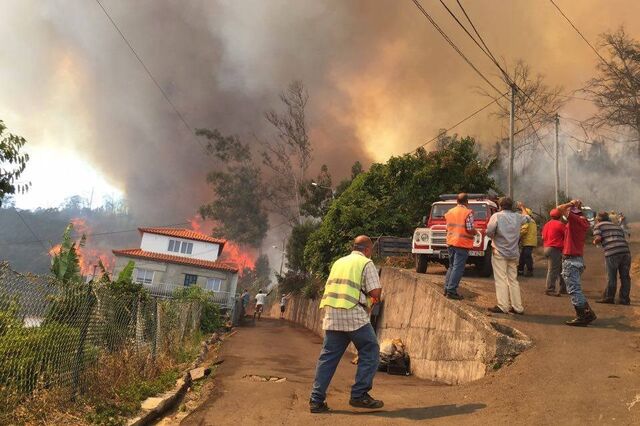 Governo vai enviar para a Madeira força especial de combate a incêndios