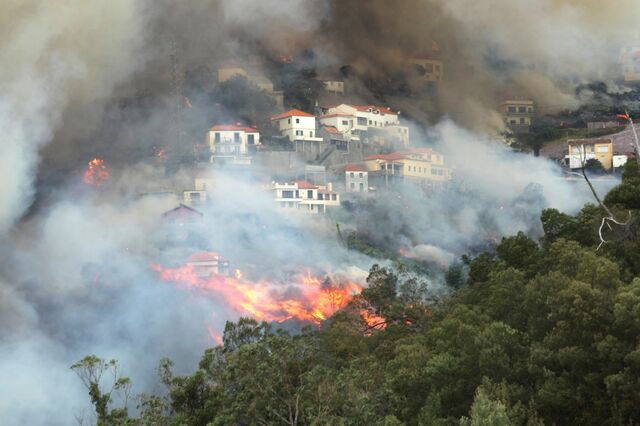 Papa solidário com vítimas dos incêndios na Madeira
