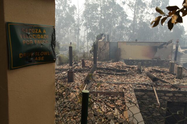 Terrenos por limpar foram fatais no Funchal