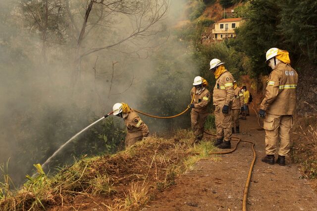 Fogos queimaram mais de um quinto do concelho do Funchal