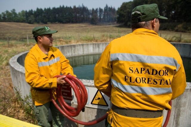 Parlamento pressiona aumento da despesa com sapadores florestais