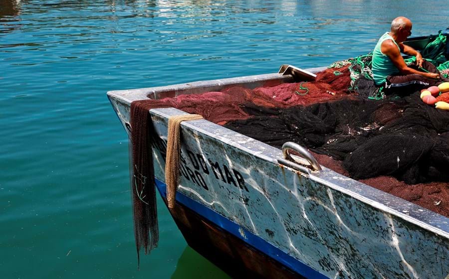 Há três décadas, Setúbal tinha oito mil pescadores. Agora serão cerca de 300, de acordo com a estimativa da cooperativa Sesíbal.