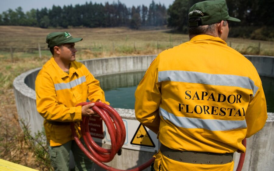 Sapadores Florestais Incendios