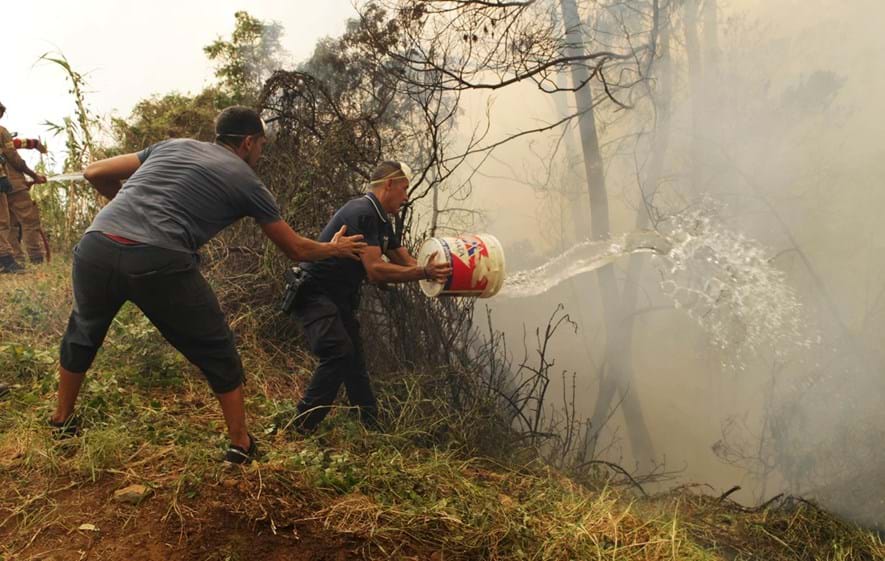 Fogo em mato acciona Sapadores do Funchal —