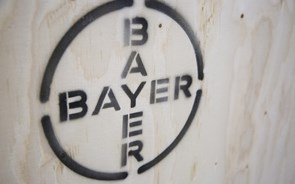 Bayer planeia cortar dividendo em 95% para pagar dívida