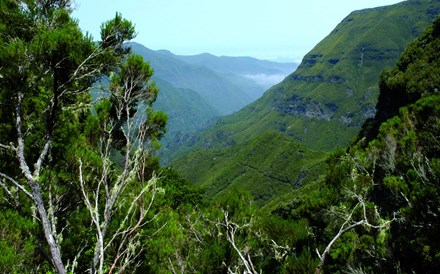 Vento cancela mais de uma dezena de voos na Madeira