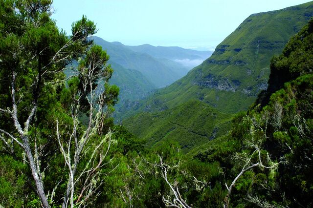 Vento cancela mais de uma dezena de voos na Madeira