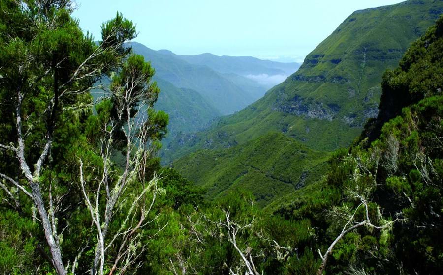 Madeira: Europe's Leading Island Destination       
