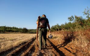 Governo cria 'taxa bala'