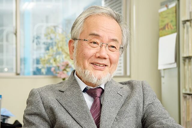 Nobel da Medicina atribuído ao japonês Yoshinori Ohsumi