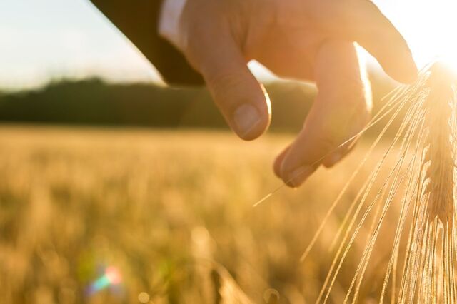 A agricultura conta com uma nova geração