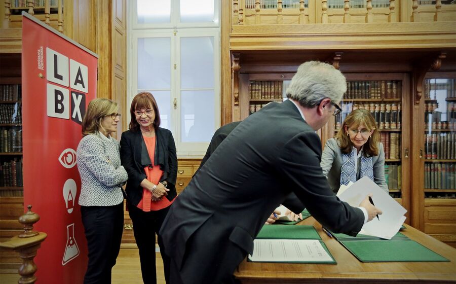 labx, Maria Manuel Leitão Marques