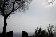 Açores