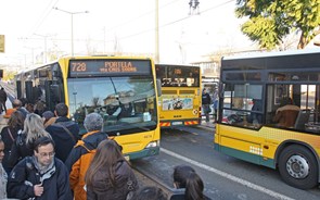 Lisboa vai ter 100 novos autocarros este ano