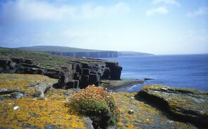 westray escócia