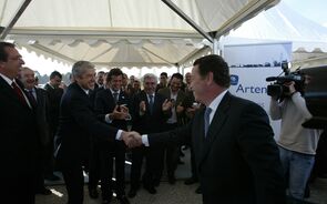 Sócrates Artlant Sines